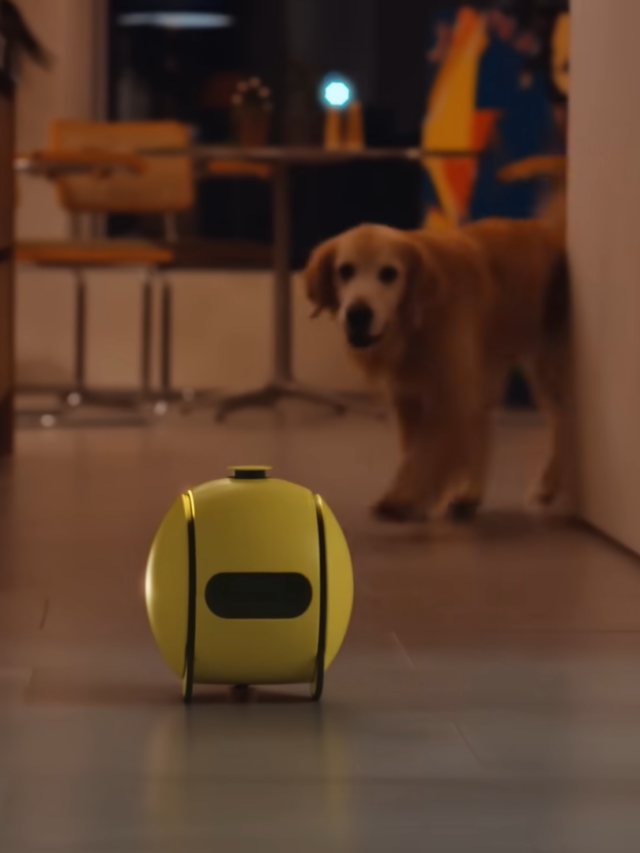 Ballie AI, é o novo robô da Samsung que você tem que conhecer agora.