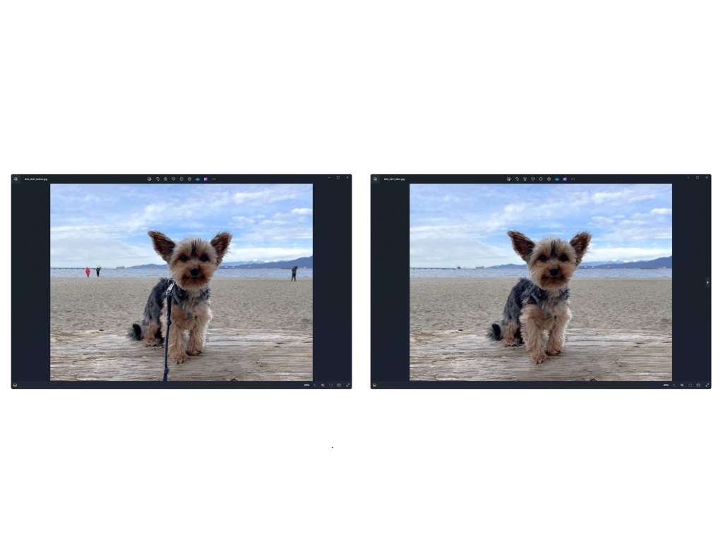 Apagamento Generativo do app de Fotos do Windows. Imagem: divulgação Microsoft.