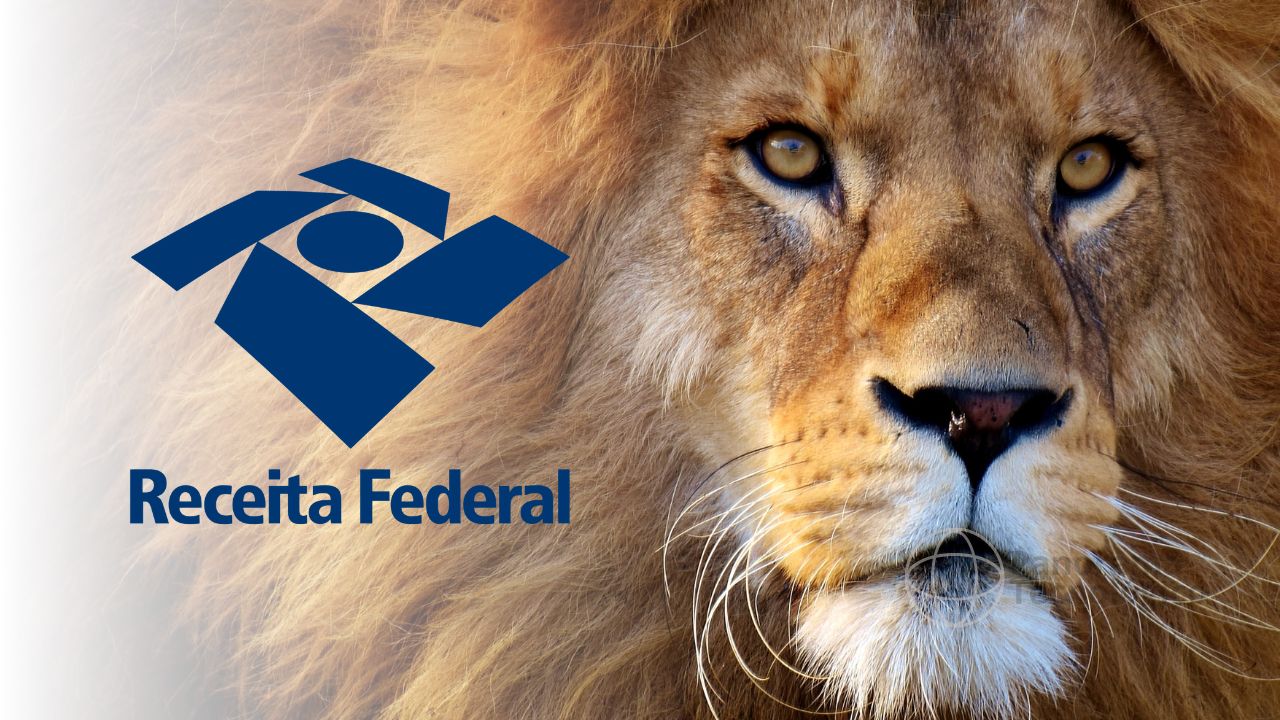 Logotipo azul da Receita Federal do Brasil ao lado de um close-up do rosto de um leão, destacando detalhes nítidos da pelagem e dos olhos do animal.